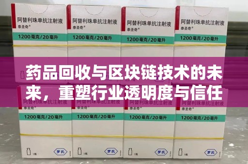 台州药品回收与区块链技术的未来，重塑行业透明度与信任