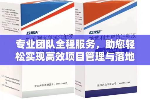 台州专业团队全程服务，助您轻松实现高效项目管理与落地